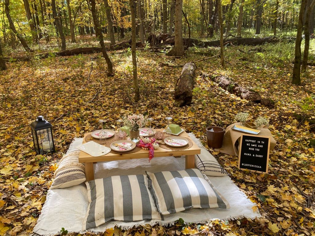 Fall picnic setup at Bird Hills nature area