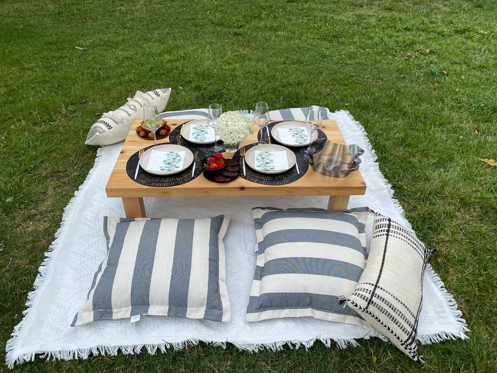 A styled Lux Picnics setup on a lawn with a low wooden table, striped cushions, and place settings