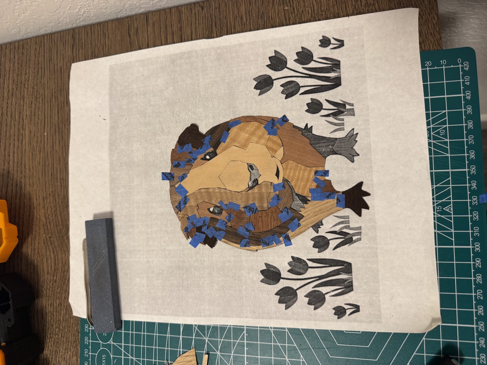 The guinea pig nearly complete in veneer